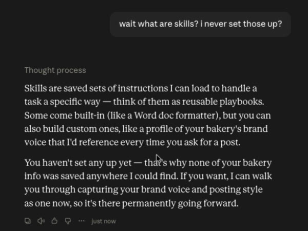She asks what skills are. Claude explains that skills are saved sets of instructions it can load, and says she has not set any up yet, which is why none of her bakery information was saved anywhere it could find.